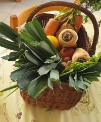 Fruits et légumes de saisons