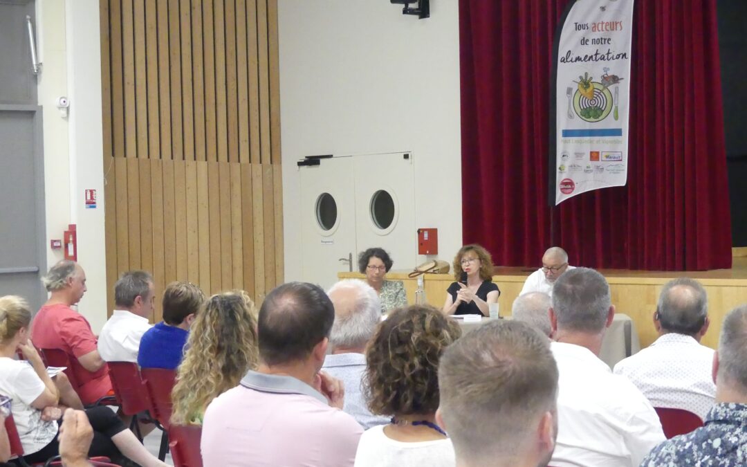 Conférence des élus du Pays, témoignages et échanges fertiles