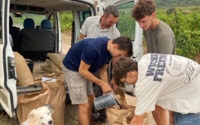 Groupement d’intérêt économique et environnemental- GIEE « Terroirs Verts Saint-Chinian »