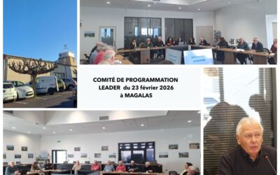 L’Europe dans le territoire : Neufs projets sélectionnés dont celui du train de l’Aubrac