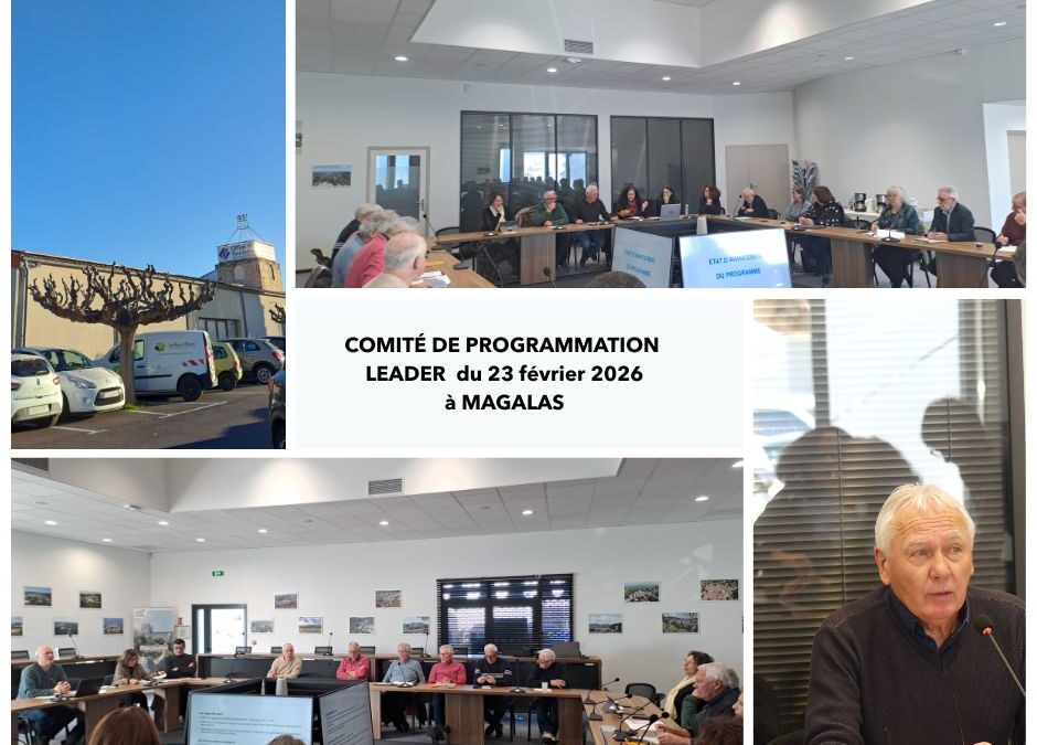 L’Europe dans le territoire : Neufs projets sélectionnés dont celui du train de l’Aubrac