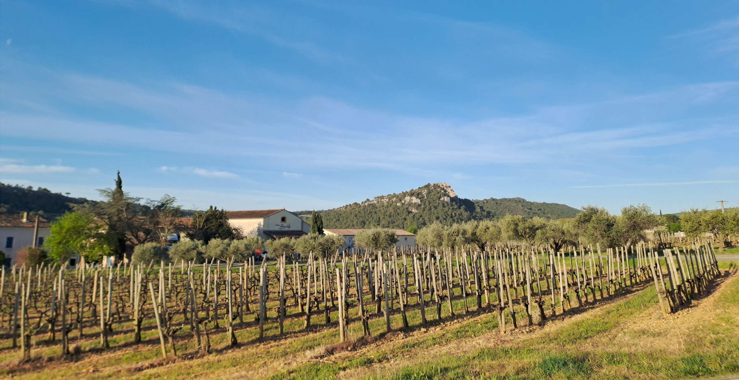 Le clos bagatelle où se tint la formation oenotouristique par le cabinet Atout Terroir